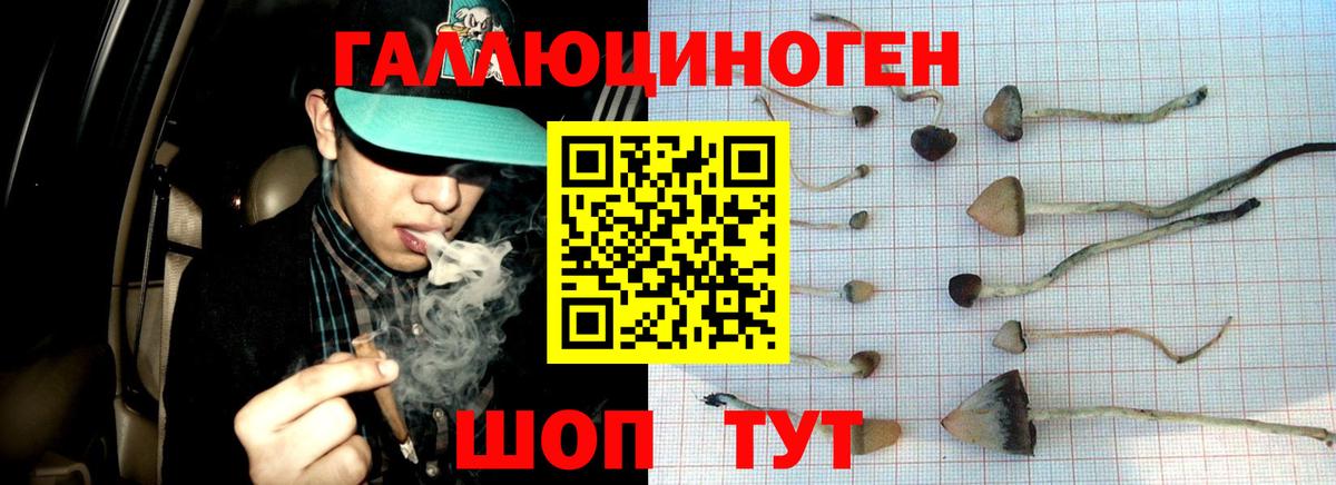 Псилоцибиновые грибы Magic Shrooms Кизляр